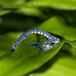 4OCEAN Recycled Bracelet, Signature Blue -Women’s Clothing, Shoes & Accessories Official Shop 19472547 4 1500.26092019120014