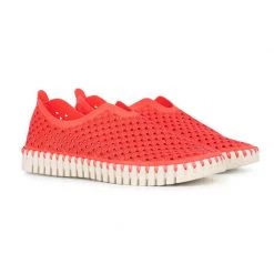 ILSE JACOBSEN Women's Tulip Perferated Slip-On Sneakers 14 ILSE JACOBSEN Women's Tulip Perferated Slip-On Sneakers -Women’s Clothing, Shoes & Accessories Official Shop P019831775 RASPBERRY 1500.01052020020048